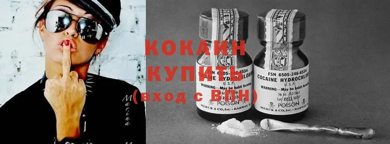 где купить наркотик  Жиздра  Cocaine Эквадор 